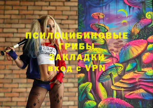 спиды Алексин